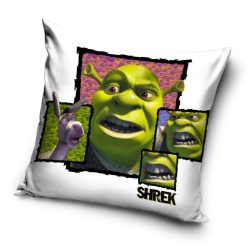 Shrek párnahuzat