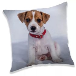 Love Dog, Kutyás párna, díszpárna 40*40 cm