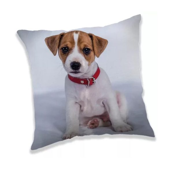 Love Dog, Kutyás párna, díszpárna 40*40 cm