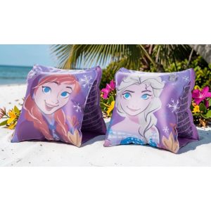 Disney Frozen, Disney Jégvarázs karúszó