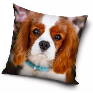 Dog, Kutyás párnahuzat