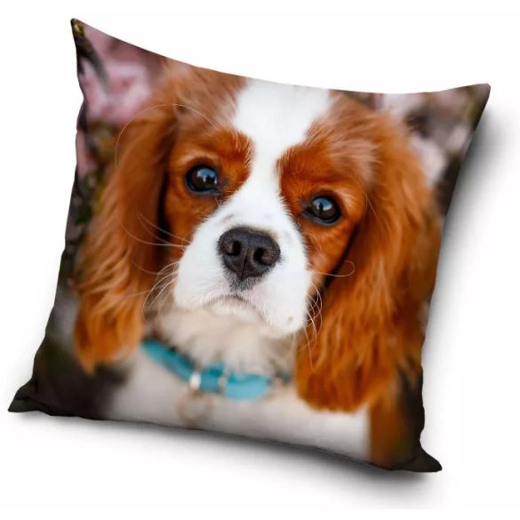 Dog, Kutyás párnahuzat